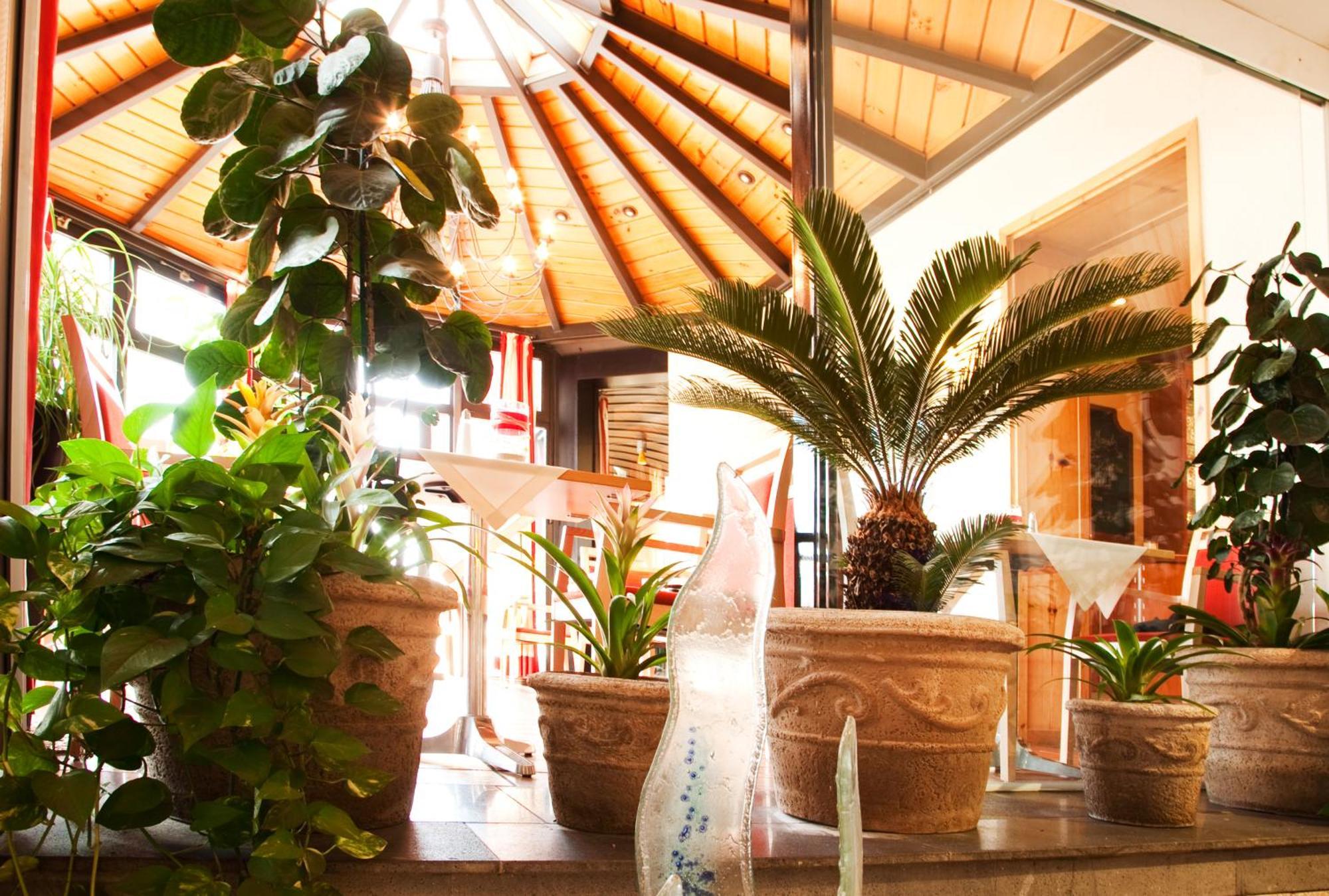 בנסהיים Hotel Bacchus מראה פנימי תמונה